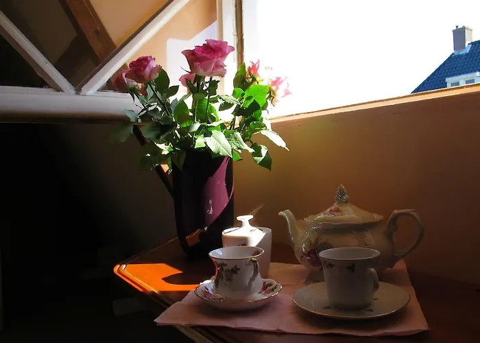 Hotel Wild Roses Ámsterdam